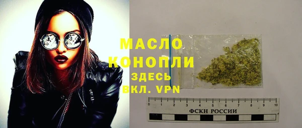 гидра Зеленодольск
