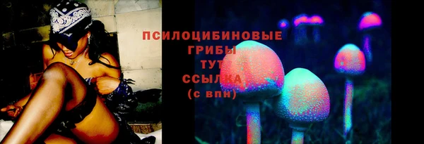 гидра Зеленодольск