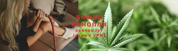 гидра Зеленодольск