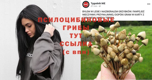 гидра Зеленодольск