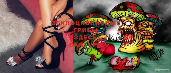 бошки Зерноград