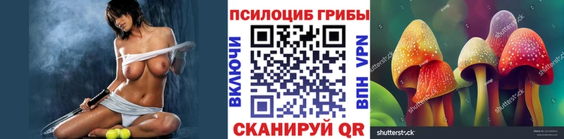 Купить где Дмитриев Псилоцибиновые грибы ЛСД